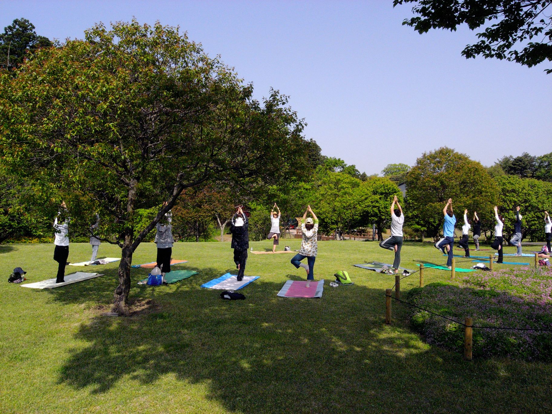 Garden YOGA